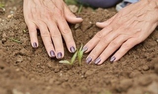 Eva-Maria Westbroek, terug naar de aarde