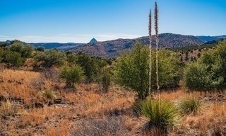 Fremder Stern Texas - Mehr als Cowboys, Öl und Wilder Westen