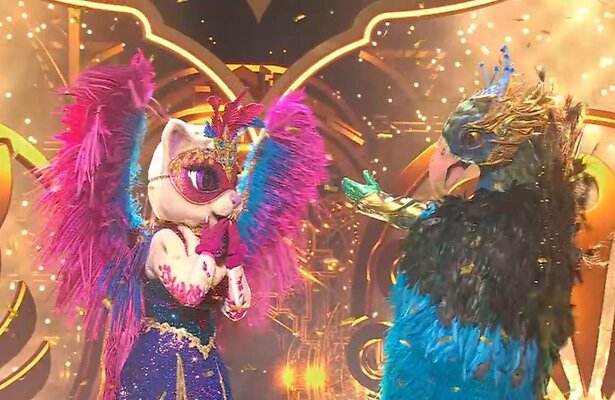 De Glamourpoes en De Pauw traden samen op.