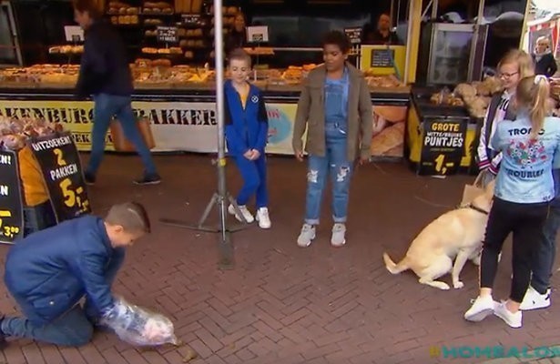 Stoomcursus voor het volwassen leven in Home alone