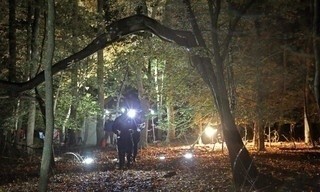 In Search Of Monsters