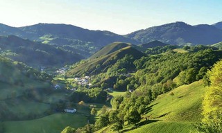 Kintoa, ein Schwein wie kein anderes