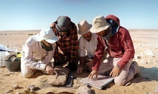 Mystery of the desert kites