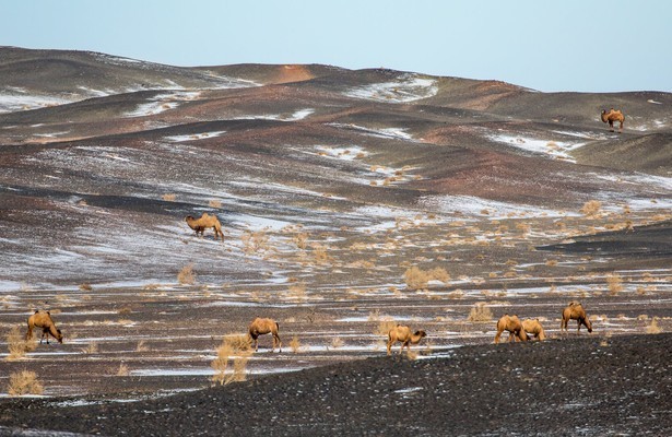 Natuur op 2: A Perfect Planet