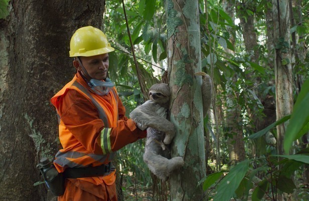 Still uit Planet Earth