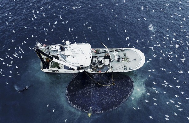 Still uit The Age of Nature 