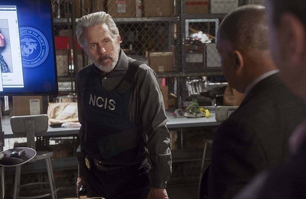 Gary Cole als Agent Alden Parker
