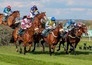 Paardensport: Grand National
