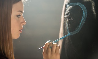 Stormwind 3: Op weg naar Ora