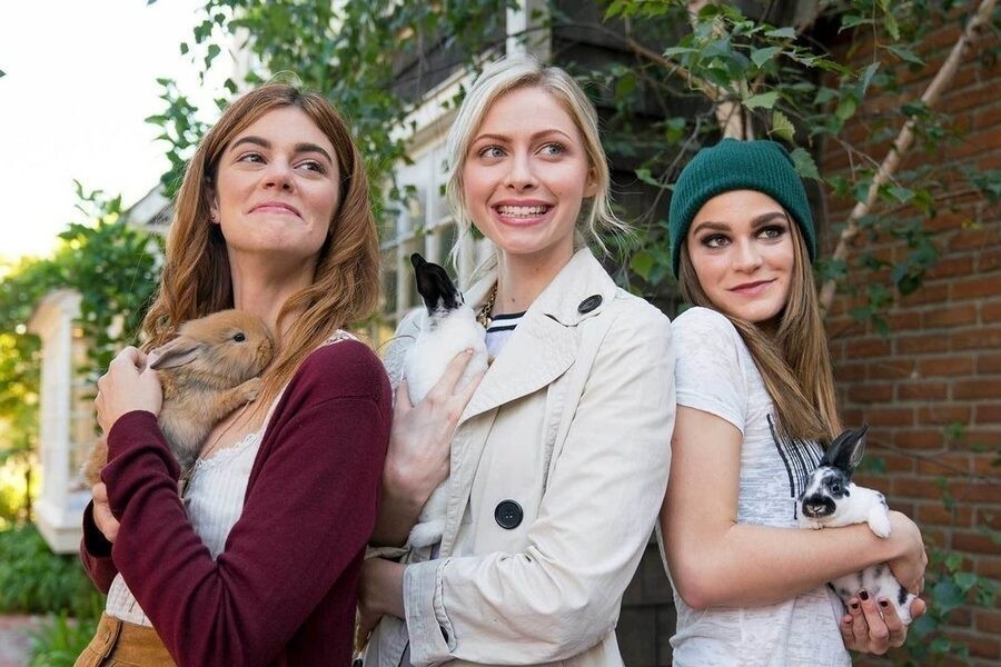 The Trouble with Mistletoe