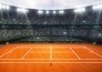 Tennis: ATP 250 Tiriac Open