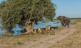 Ultimate enemies (revealed)