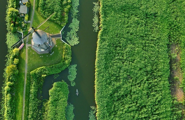 Vroege Vogels Presenteert: Hooiland