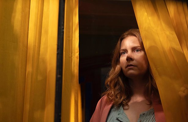 The Woman in the Window