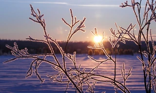 Winter's Hidden Wonders