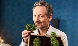 Wissen vor acht - Erde