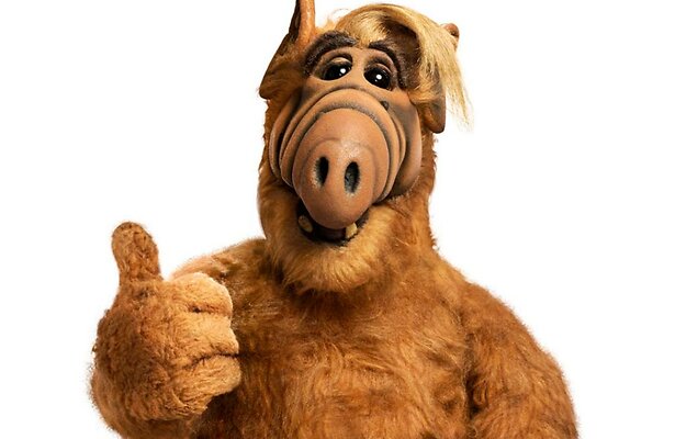 Alf