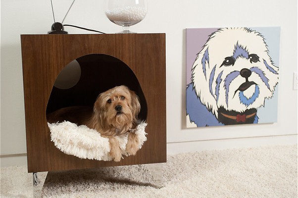 Will Ferrell draait door