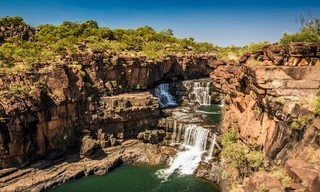 A wild year on earth