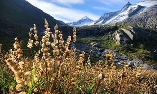 Austria's Wild Heritage - One Country Six National Parks