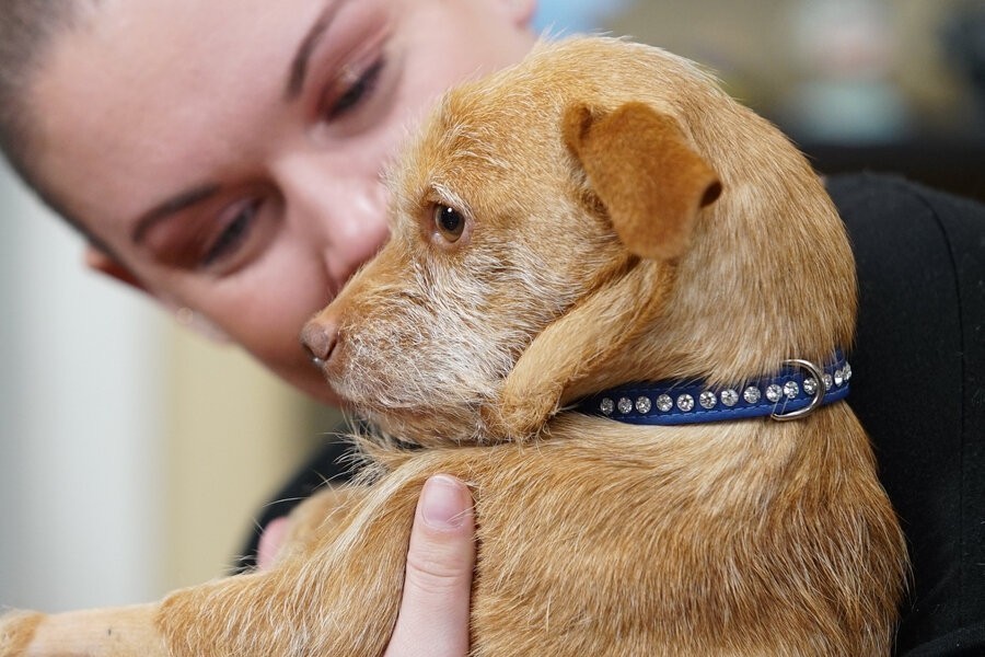 Amanda to the rescue