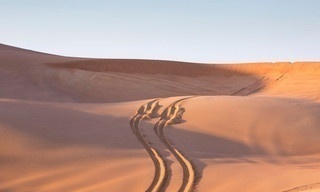 Baja Hail Toyota Rally