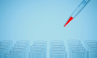 Bloodline Detectives