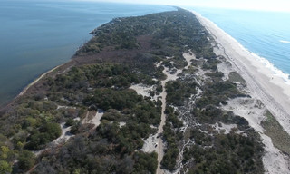 Cherry Grove Stories