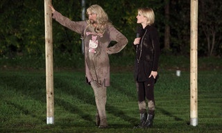 Crash Games - jeder Sturz zählt