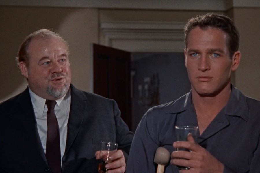 Cat on a Hot Tin Roof