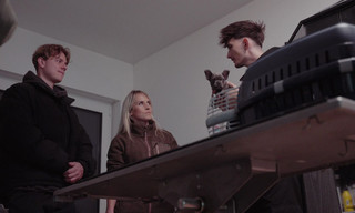 Die Hunde-Mafia: How to kill a Puppy & get rich