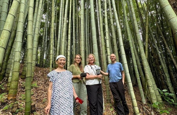 De Toekomst Is Grijs