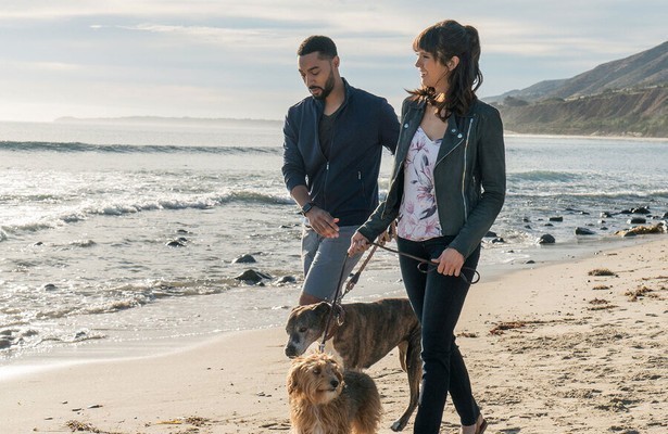 Nina Dobrev in Dog Days