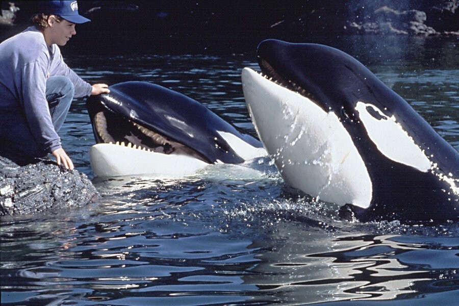 Free Willy 3: The Rescue