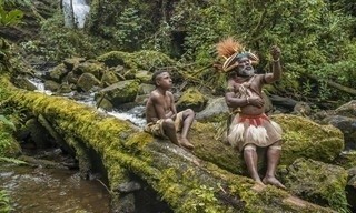 Gardiens de la forêt