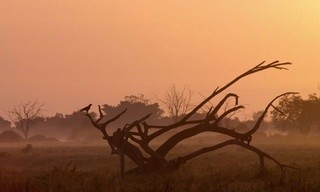 Kenia - Eine Oase im Sand: Leben im Überfluss