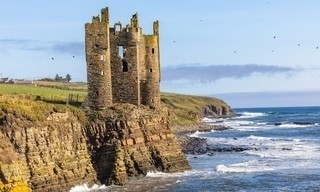 Leben an der Nordsee