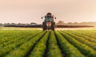 Lokalzeit Land.schafft.