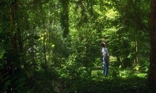 Orlando: Meine politische Biografie