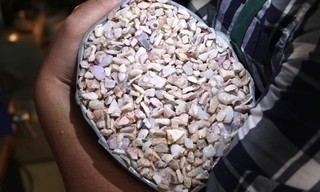 Outback opal hunters