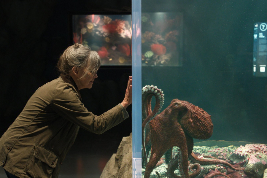 Remarkably Bright Creatures