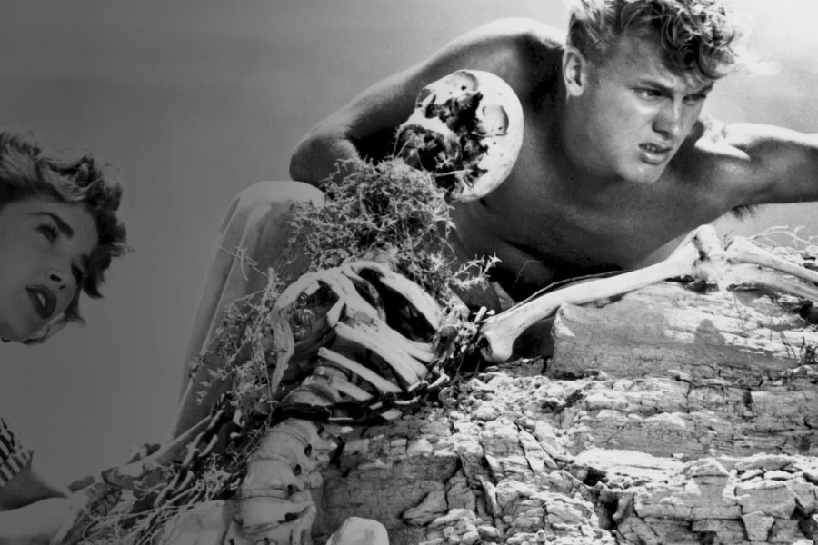 Return To Treasure Island