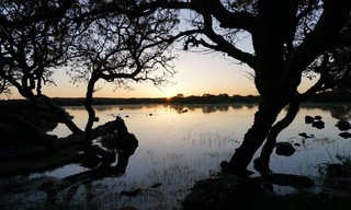 Sardinien - Arche aus Stein