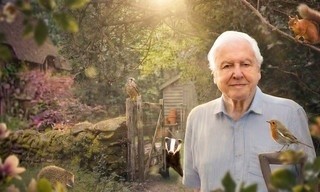 Signed: Secret garden