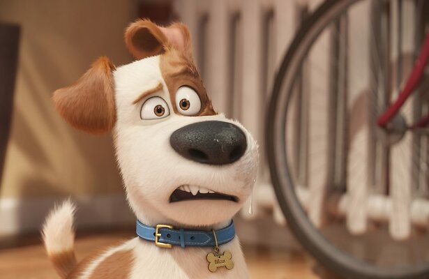 Scène uit The Secret Life of Pets
