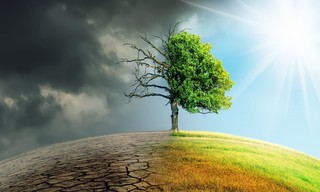 The Climate Question