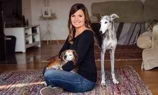 Tiere suchen ein Zuhause