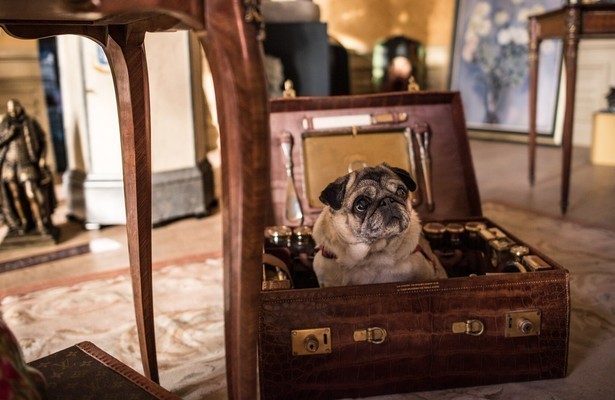 Van onschatbare waarde