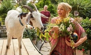 Zappbios: Klimaatredden voor beginners