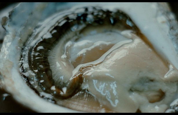 Oesters